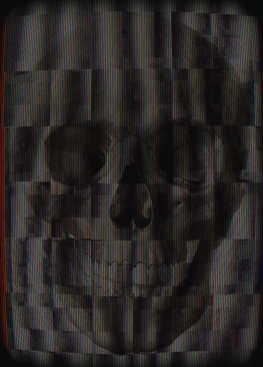 Memento Mori #263