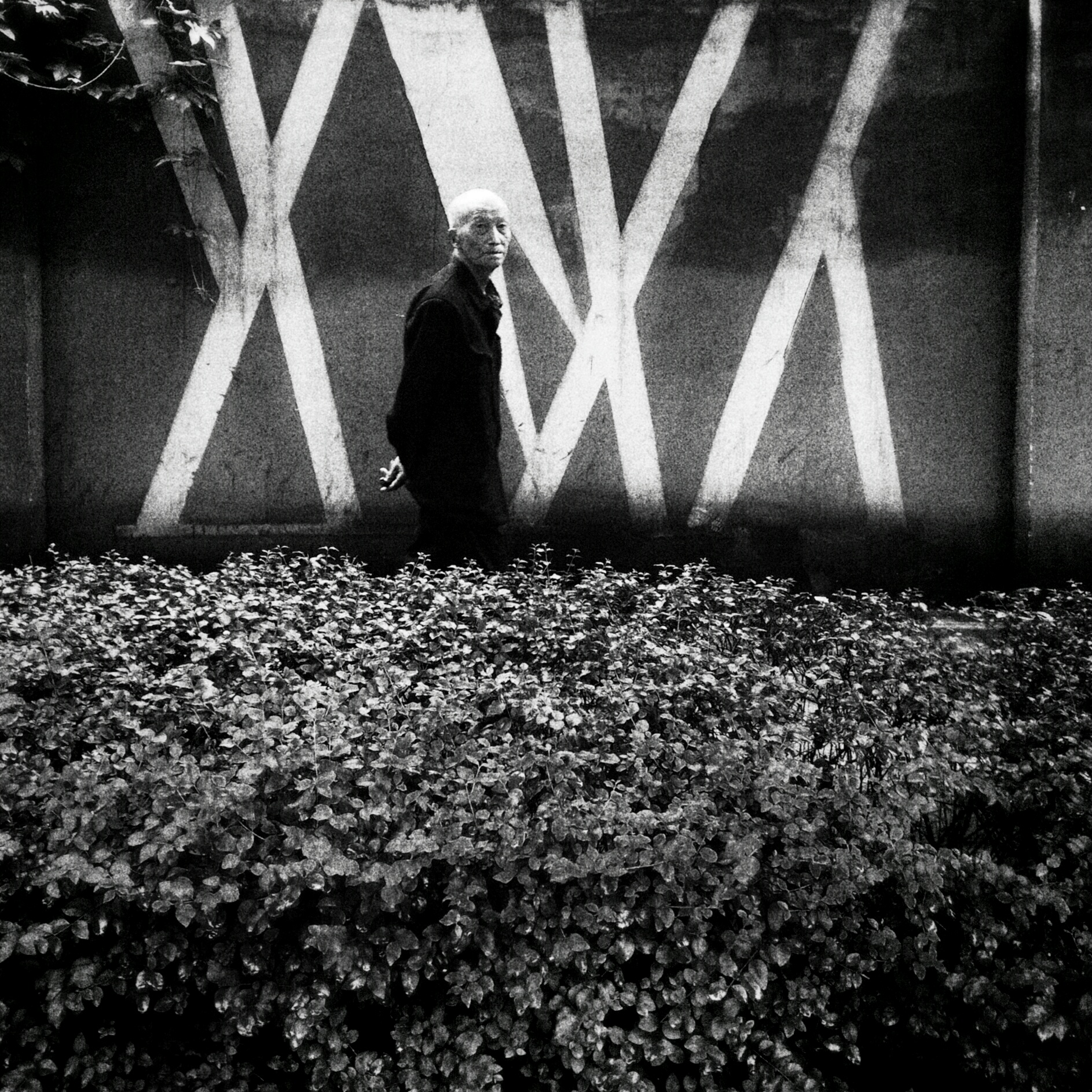 BWChina #18