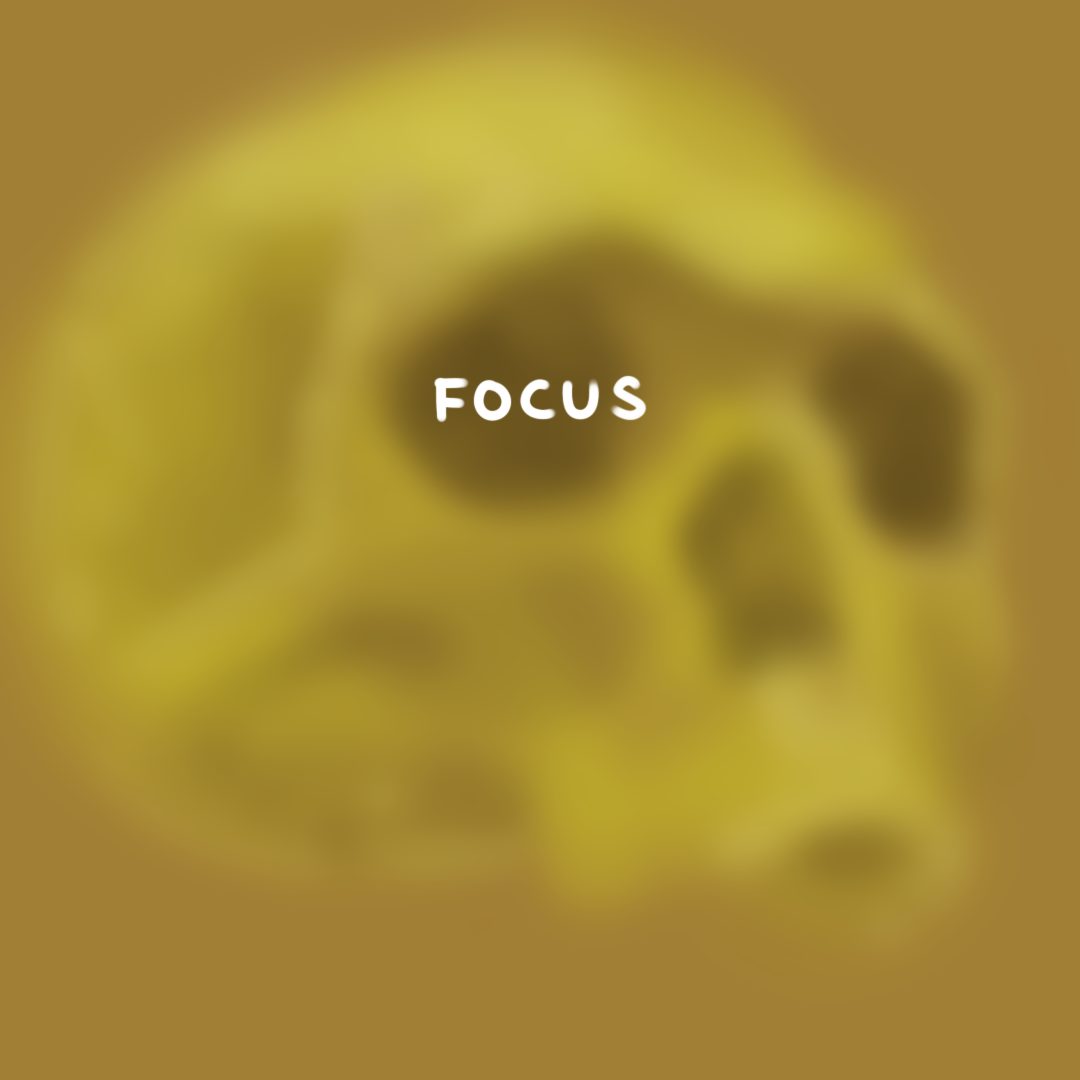 #157 - Focus