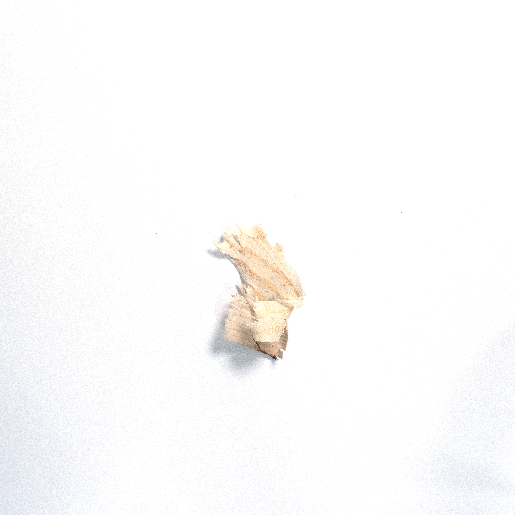Sawdust 2
