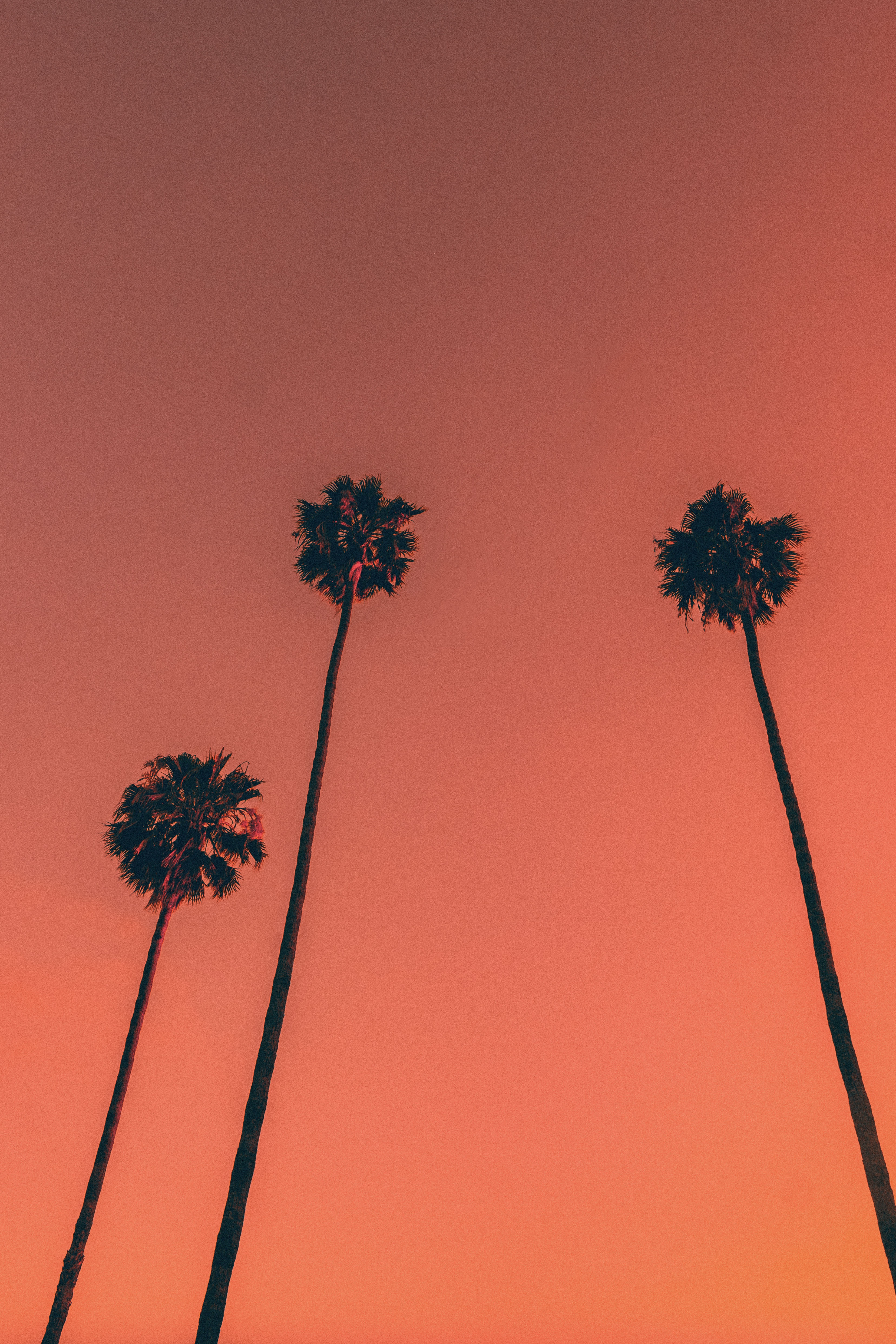 Somewhere Else: 077 - 3 Kings 