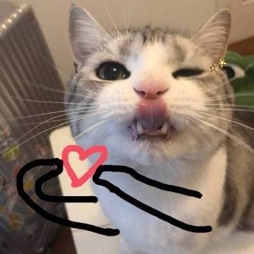 qqq48