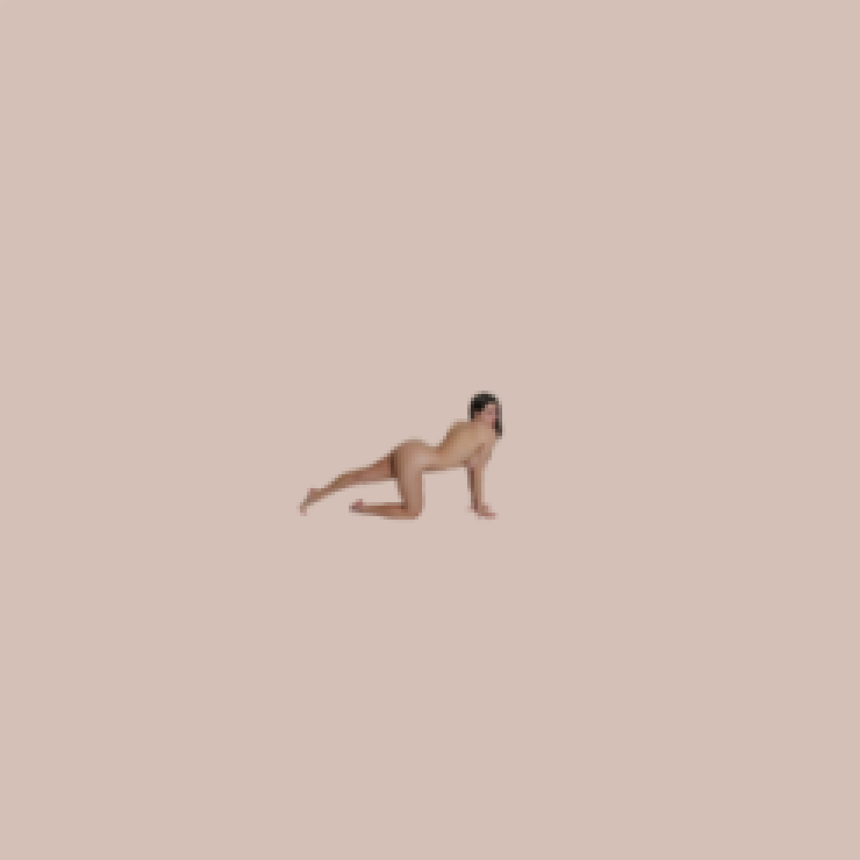 Nude Pixels_006