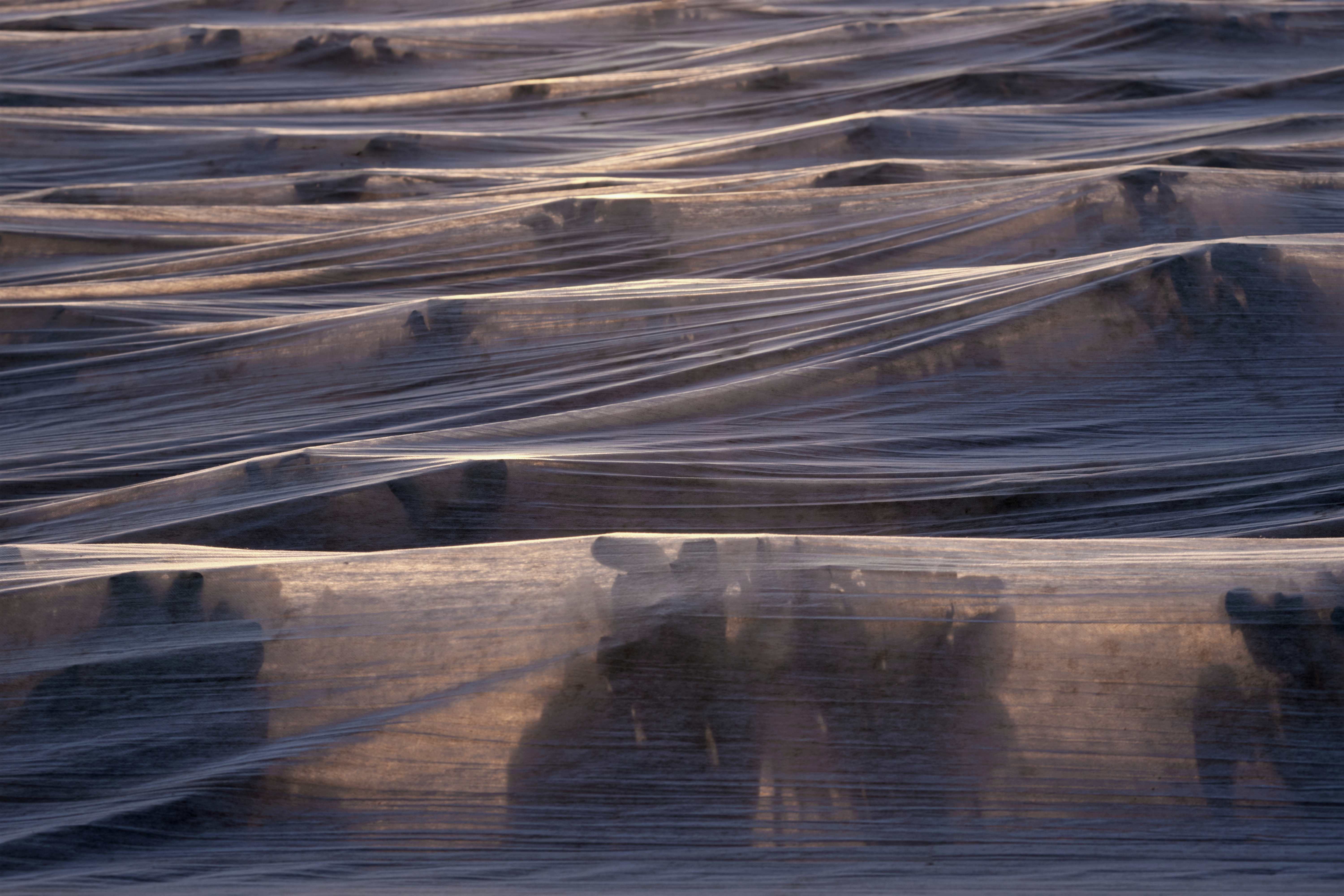 #36 Under Protection