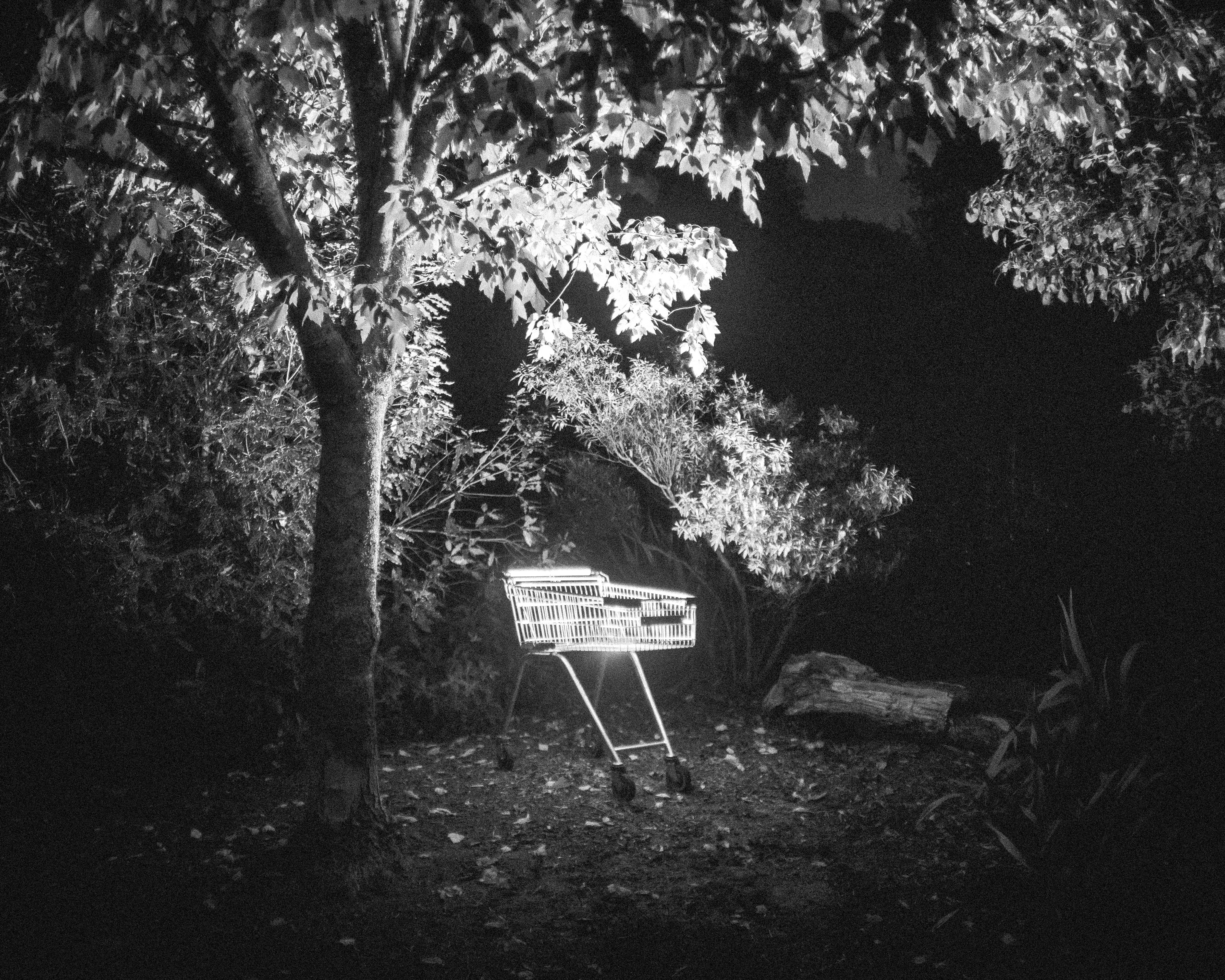 how did we get here #02