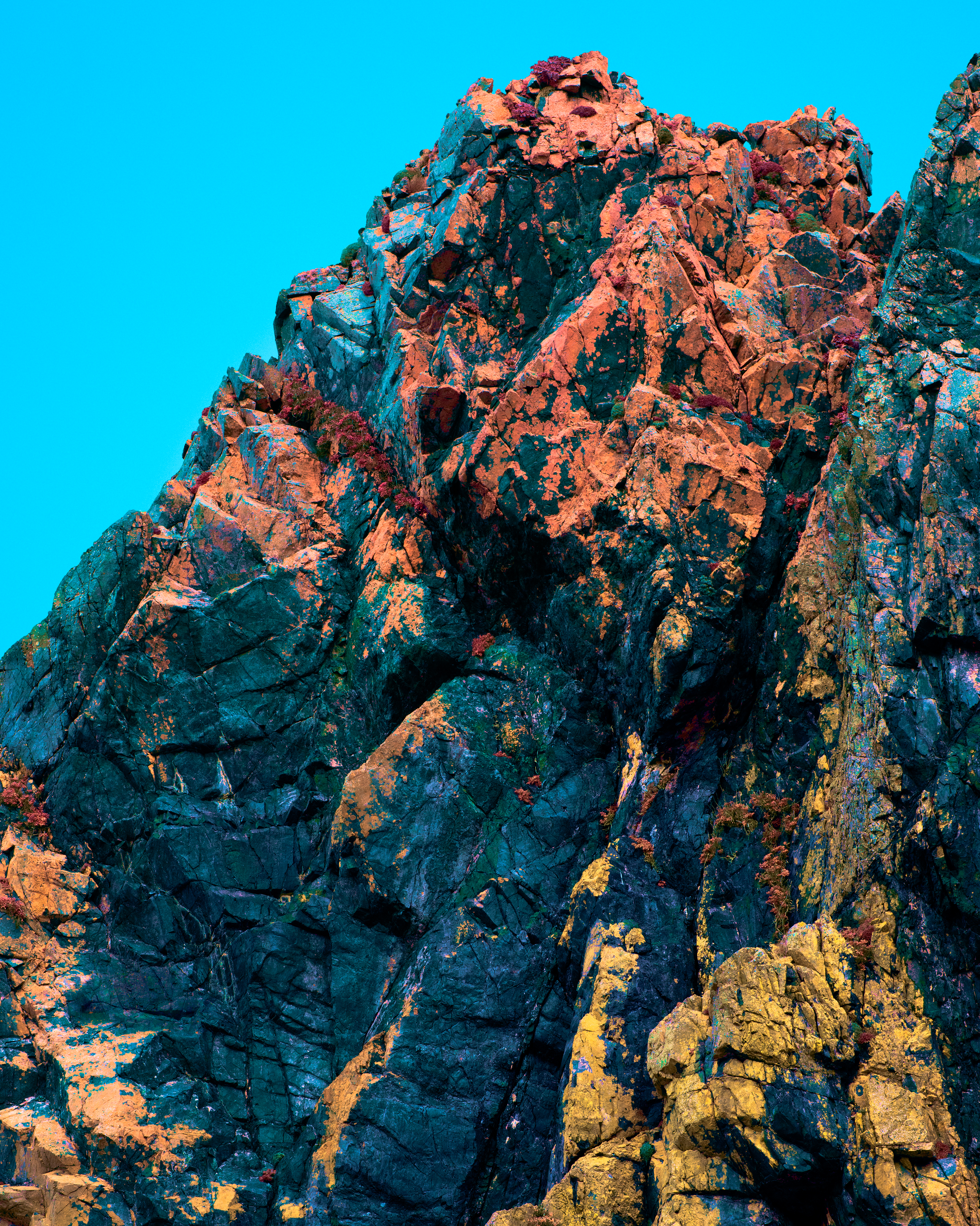 Ascent