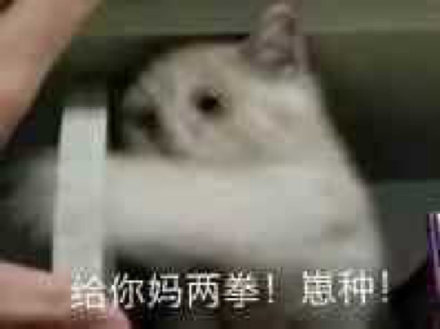 rrr8