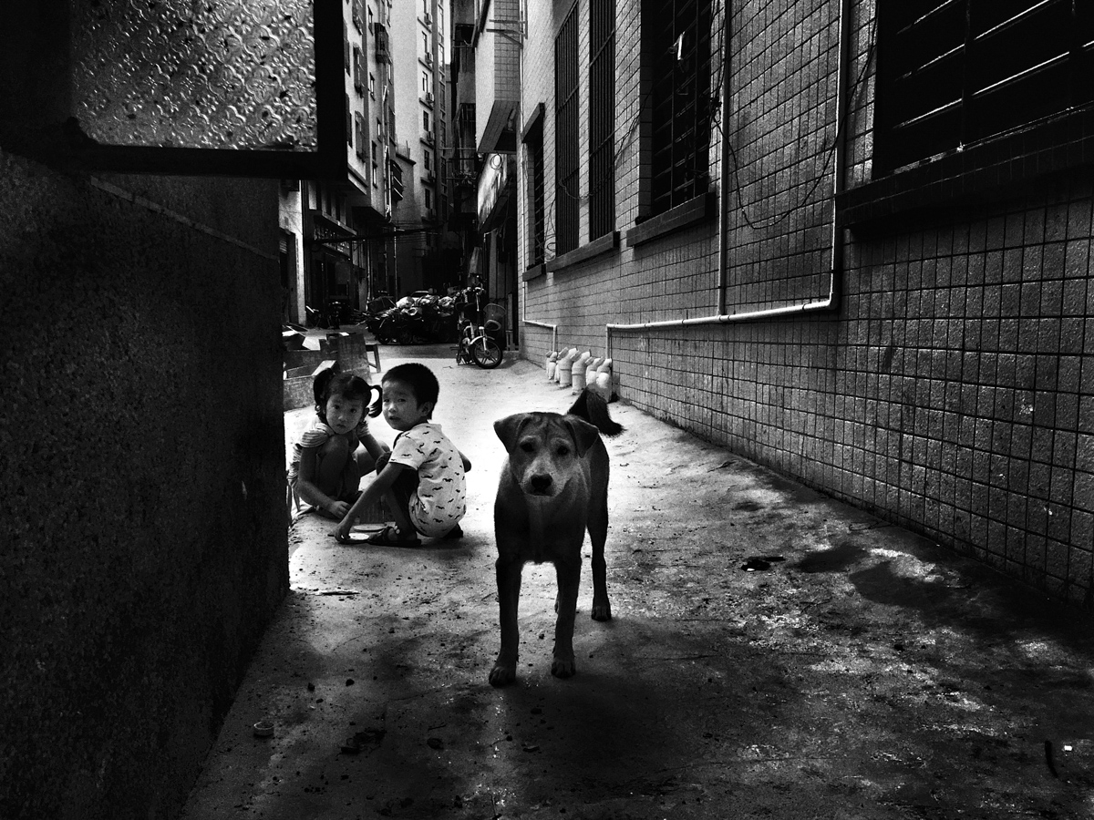  BWChina #156