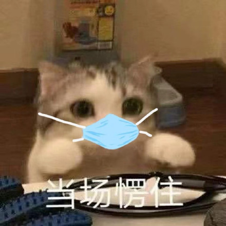 sss11