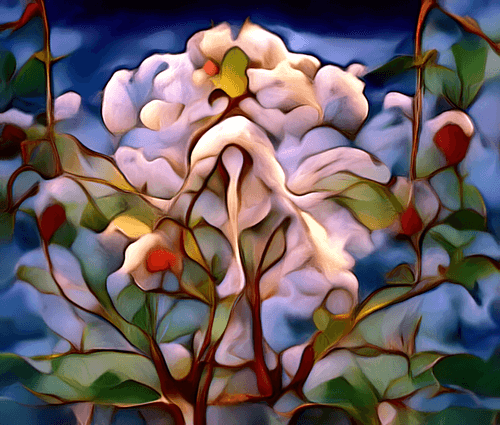 Royal Flora